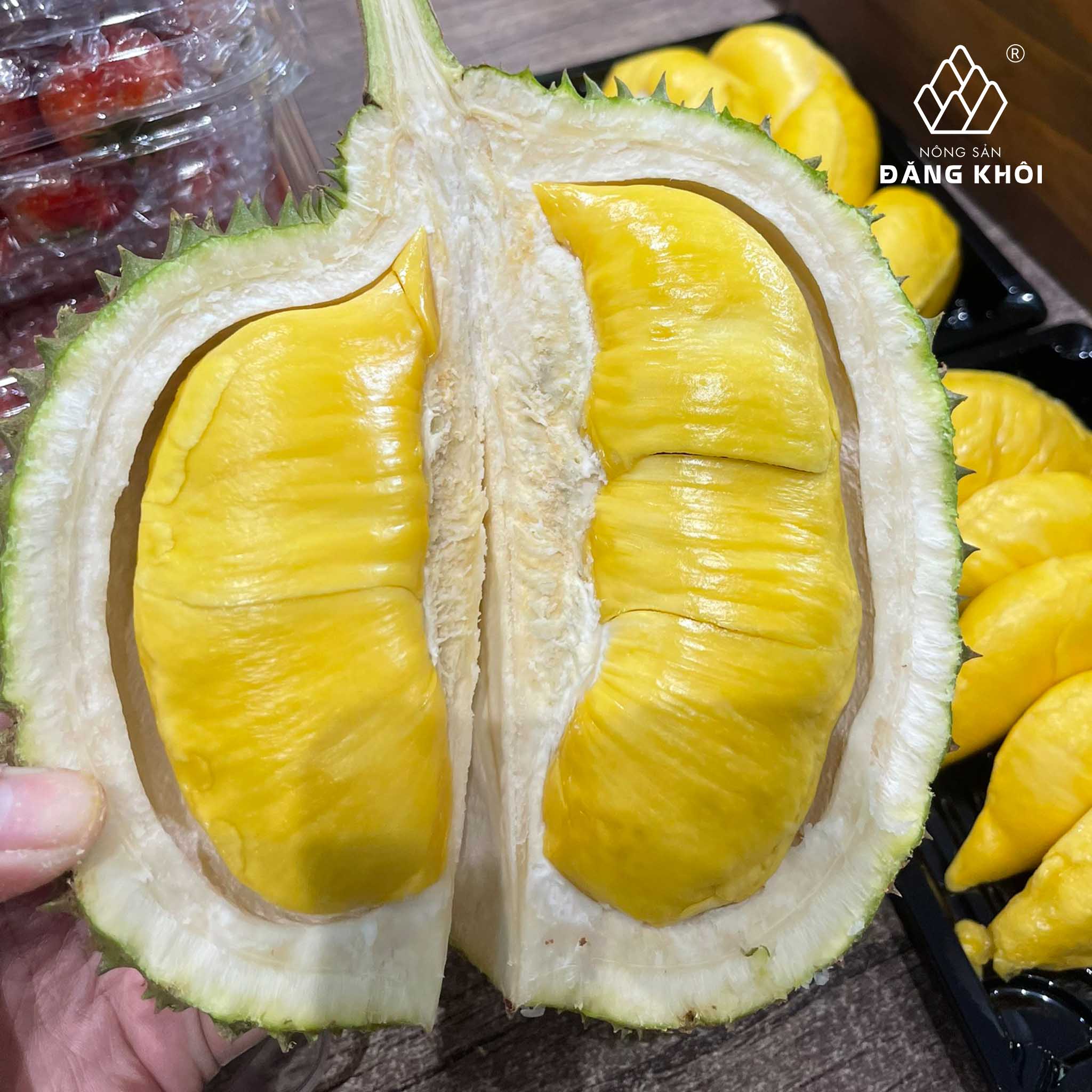 sầu ri&ecirc;ng nsdk